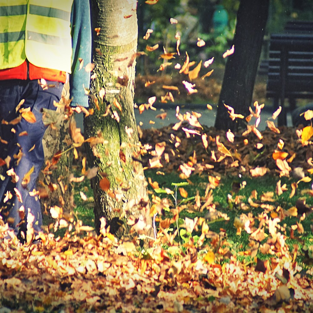 Worker blowing leaves in green urban park space