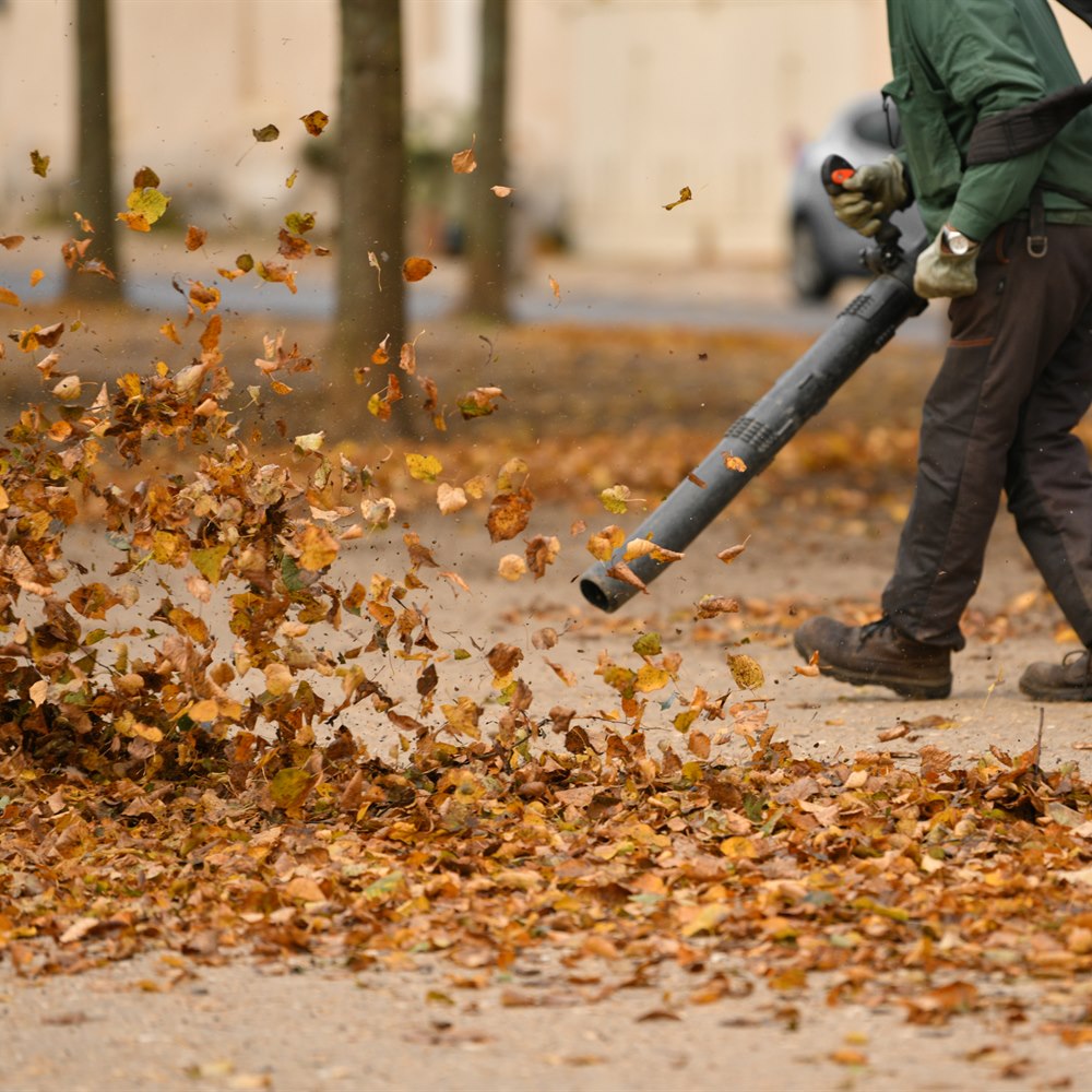 Worker blowing leaves on an autumn day